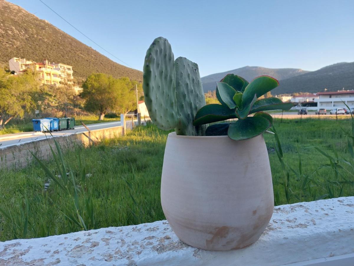 Vitamin Sea Studio Panagia  Екстер'єр фото